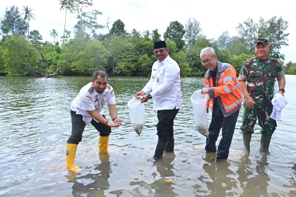 Solusi Bangun Andalas Reklamasi Area Bekas Tambang dan Lepas Ribuan Calon Induk Ikan Kakap Putih di Sungai Krueng Raba